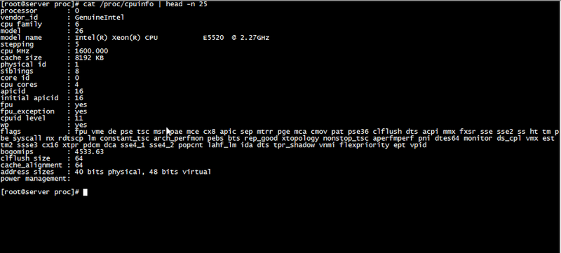 File:Server command cpu.png
