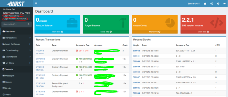 File:Burst wallet interface.png